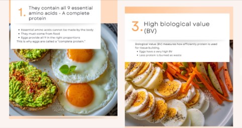 eggs protein benefits infographic showing amino acids and biological value
